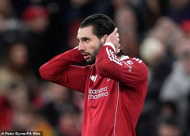 开云体育官网-索博：我理解球迷的愤怒，但请你们依然站在我们身后